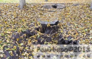 Про овраги в Раменском парке