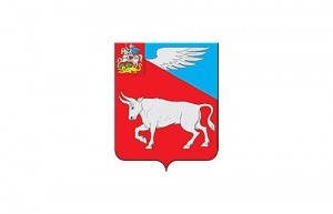 Сведения из первых финансовых отчетов кандидатов г/п Быково
