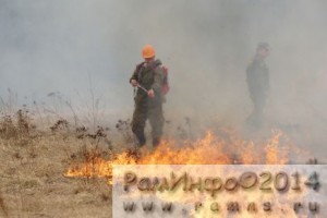 Лесничие Подмосковья призывают не поджигать траву