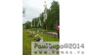 В Раменском районе посадят около 25 га леса