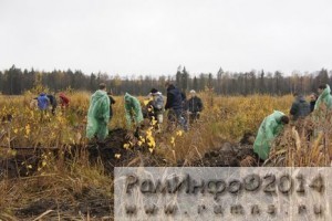 В Раменском районе продолжают сажать деревья