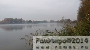 Фотоконкурс Стоп кадр!