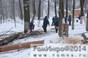 Парк рубят — щепки летят