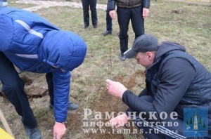 Гжельские ребята посадили деревья в рамках акции «Сирень Победы»