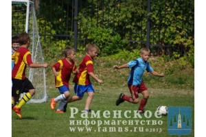 26 августа состоялся турнир по мини-футболу на приз Главы с.п.Новохаритоновское