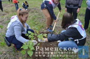 Более 50 гжельцев вышли 12 сентября на посадку деревьев