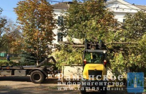 В с.п. Новохаритоновское ведутся работы по опиловке деревьев