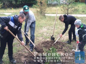 Жители г.п. Кратово также приняли участие в акции «Наш лес. Посади свое дерево».