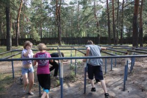 Соревнования для воспитанников лагеря Ломоносовской школы-пансионата провели 23 июля в субботу