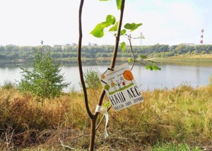 20.09.2016г. в эфире Раменского радио