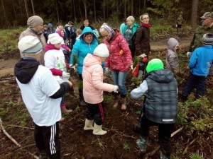 Порядка 8 га лесных культур высадят сегодня в с.п.Вялковское в рамках акции «Наш лес. Посади свое дерево»