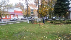 В сельском поселении Новохаритоновское в постоянном режиме проводятся работы по благоустройству