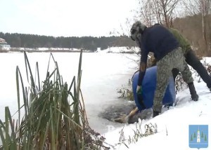 Водоемы Раменского района пополнили запасы рыбы