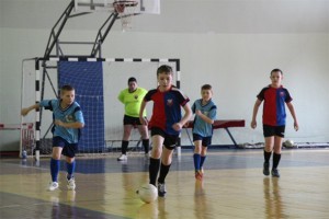 Товарищеская встреча по мини-футболу пройдет в Новохритоновской СОШ 21 января