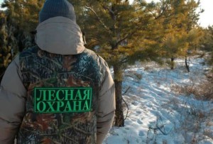 Положение об общественных лесных инспекторах Московской области