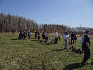 Акцию «Лес Победы» провели на нескольких площадках с.п.Гжельское
