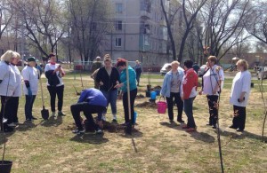 В с.п.Сафоновское провели акцию «Лес Победы»