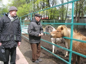 Подопечные Раменского центра соцобслуживания посетили гжельский контактный зоопарк