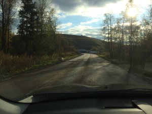 По сигналу ОНФ привлечена к ответственности компания, эксплуатирующая подмосковный полигон «Часцы»