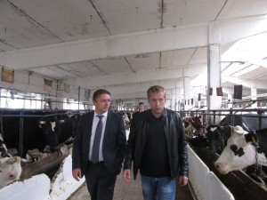 Глава района посетил сельскохозяйственное производство в Софьино