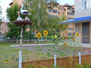 На вопросы о проблемных дошкольных образованиях в прямом эфире Раменского радио рассказала Наталья Асеева