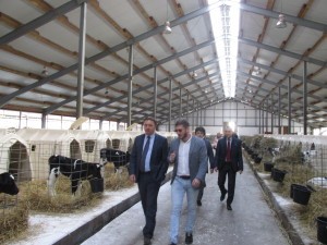 Глава района Андрей Кулаков посетил раменское отделение фермы «Русмолоко»