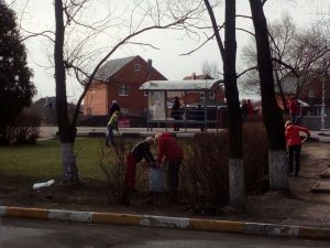 Более 50 жителей принимают участие в субботнике в п.Дубовая роща