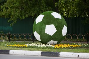 Пять раменских «фишек» к чемпионату мира по футболу
