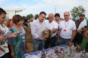 Ежегодный фестиваль славянского искусства «Берегиня Раменья» состоялся в Раменском районе