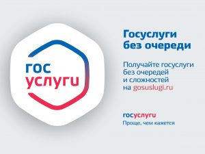О государственных и муниципальных услугах рассказали Светлана Белкина и Ольга Григорьева