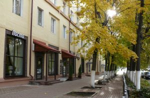Раменский район поднялся на 30 ступеней в рейтинге по созданию условий для развития МСП