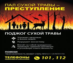 Наступает весенне-летний пожароопасный период