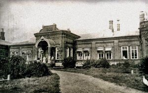 Развитие образования, культуры и здравоохранения