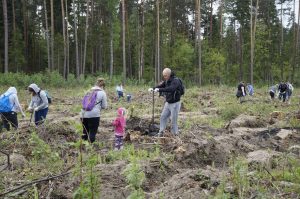 Сегодня в Раменском районе сажают Лес Победы