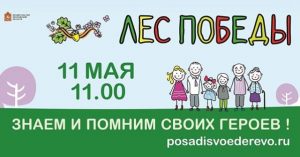 Раменский район станет зеленее на тысячу деревьев