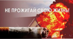 Двое детей пострадали при пожаре в Раменском районе