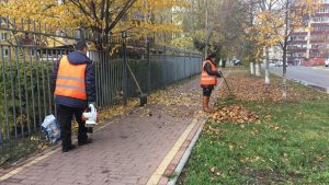 Сотрудники МБУ «Содержание и благоустройство» продолжают работы по уборке листвы