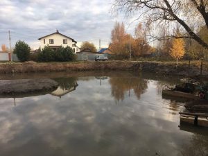 В Клишеве провели санитарную очистку пруда