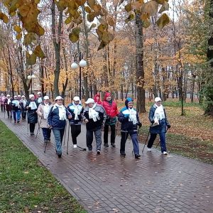 Делегация ветеранов от Раменского  центра соцобслуживания приняла участие в тренировке по скандинавской ходьбе