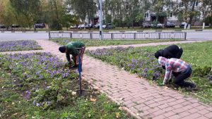 В г.Раменское идет подготовка городских цветников к зиме