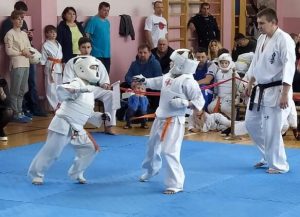 В спортзале Константиновской СОШ прошло традиционное Открытое Первенство по киокушинкай каратэ
