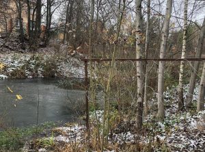 После вмешательства Минэкологии в Раменском округе прекратили загрязнять каскад ручьев