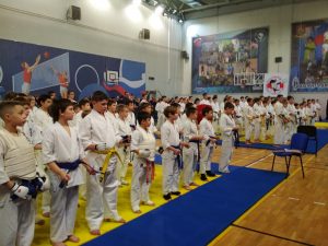 Порядка 250 спортсменов приняли участие в открытом первенстве Раменского городского округа по киокусинкай каратэ