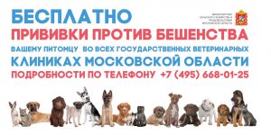Бесплатную вакцинацию животных против бешенства можно пройти в г.Раменской на ул.Десантная, 12