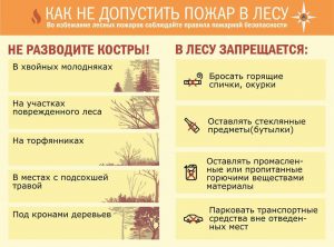 Жители Раменского городского округа, соблюдайте правила пожарной безопасности в лесах