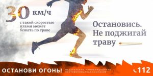 Пал сухой травы очень опасен!