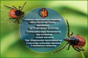 Осторожно! Клещи!