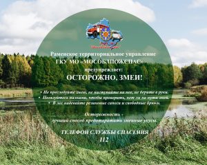 Осторожно! Змеи!