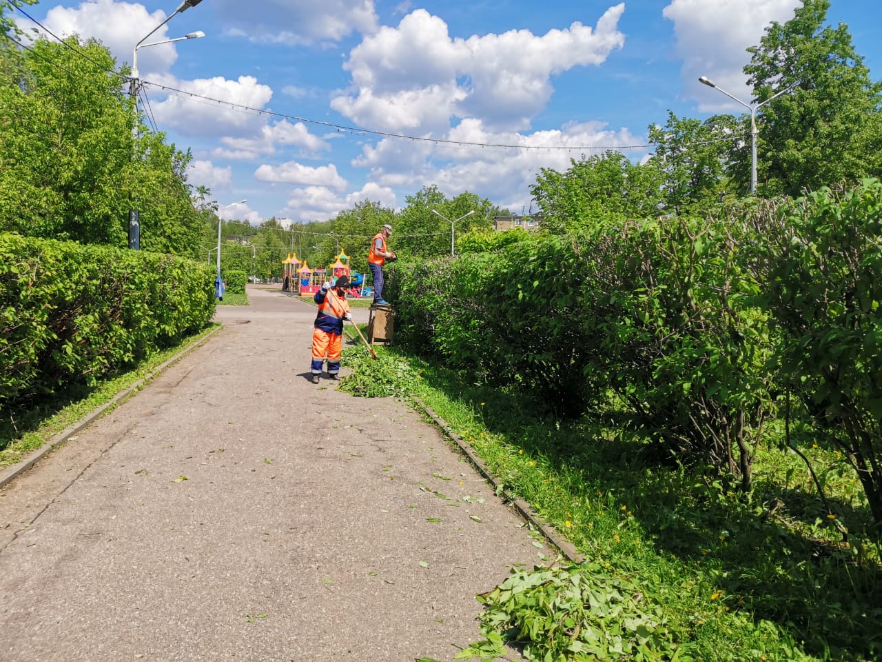 Поселение раменского. МБУ благоустройство Электросталь. МБУСИБ Раменское. Общественные территории Раменское. Москва , Ногинск, Электросталь Озеленение города.