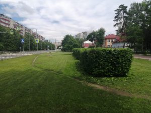 Красота не всегда требует жертв